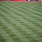 baseball player about to throw baseball on field