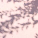 Abstract shadows of foliage on a pastel background create a tranquil and artistic pattern.