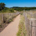 Explore the sandy path flanked by fences and wild vegetation at Dawlish Warren, UK.