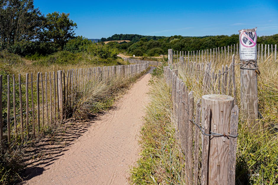 Explore the sandy path flanked by fences and wild vegetation at Dawlish Warren, UK.