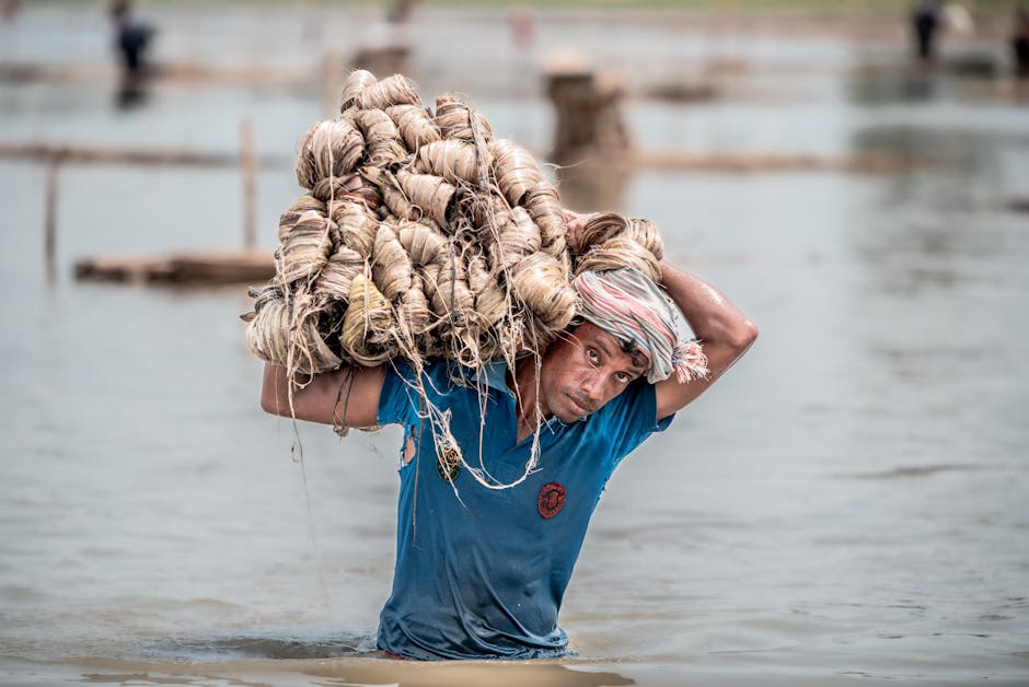 Man laboring in water, carrying bundles of jute on his shoulders showcasing rural life.
