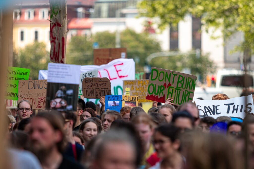 demonstration, fridays for future, climate change, environmental protection, climate strike, demonstrations, climate cha