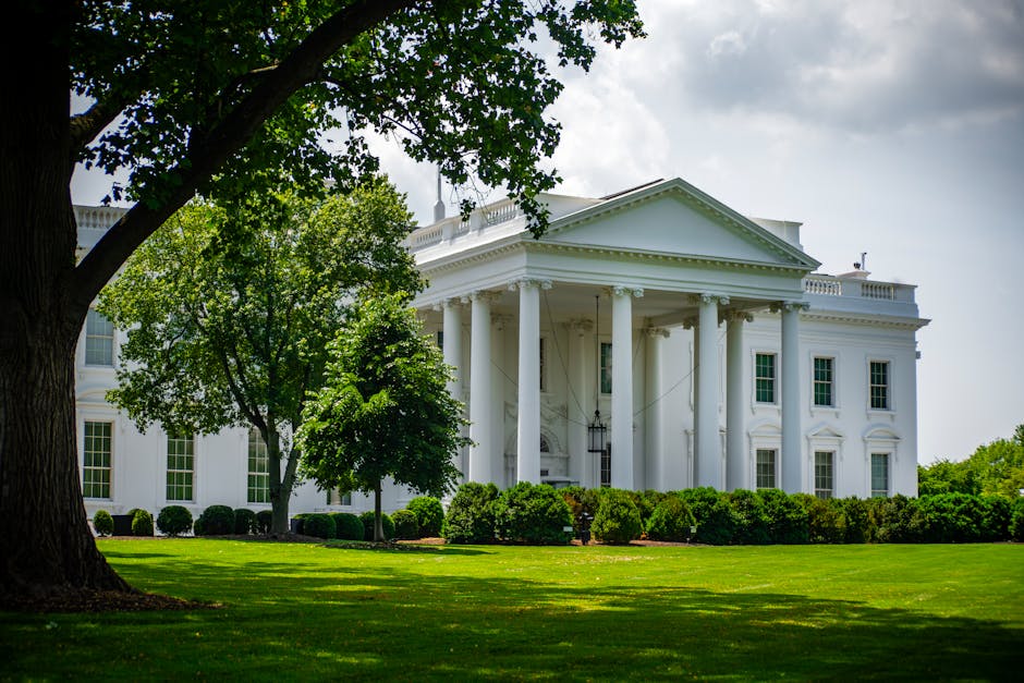 The White House framed by trees and greenery, in Washington, D.C., under a bright sky.