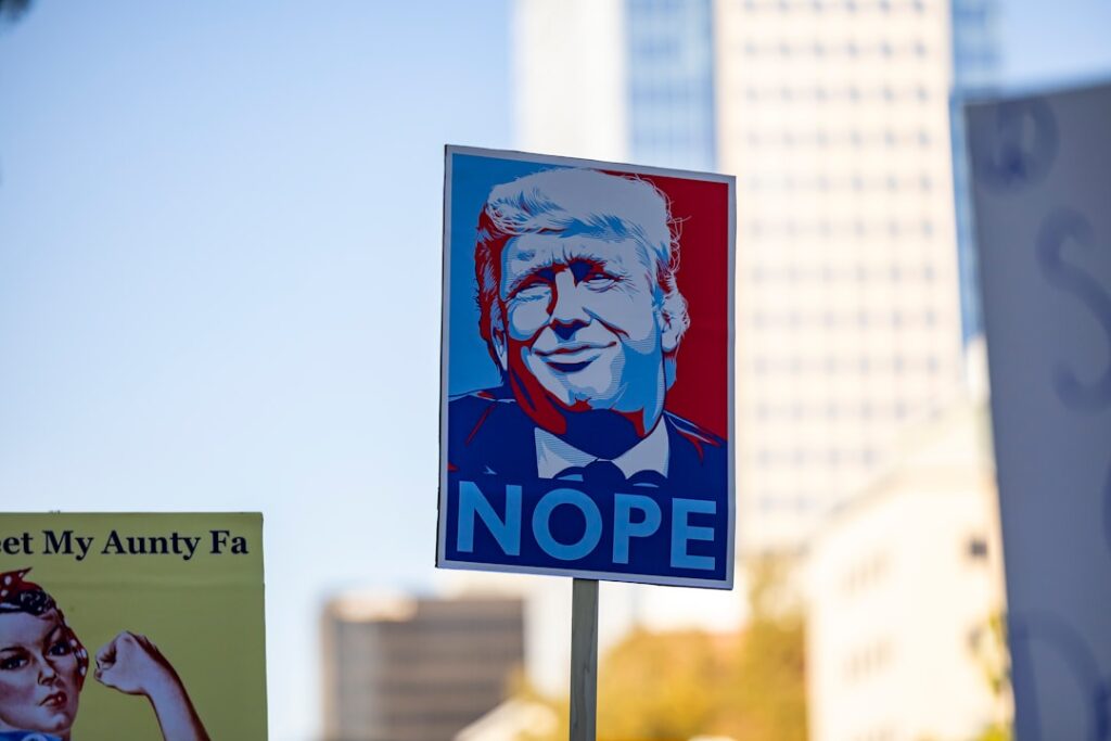 Protest sign with donald trump's face and "nope"