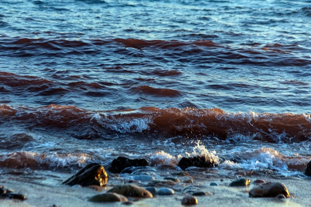 sea, wave, coast, rocks, shore, nature, water, hormuz island, hormozgan province, iran
