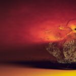 clock with smoke in the night