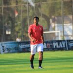 football, soccer, player, ball, stadium, sport, game, play, competition, grass, people, match, nature, kick, athlete, go