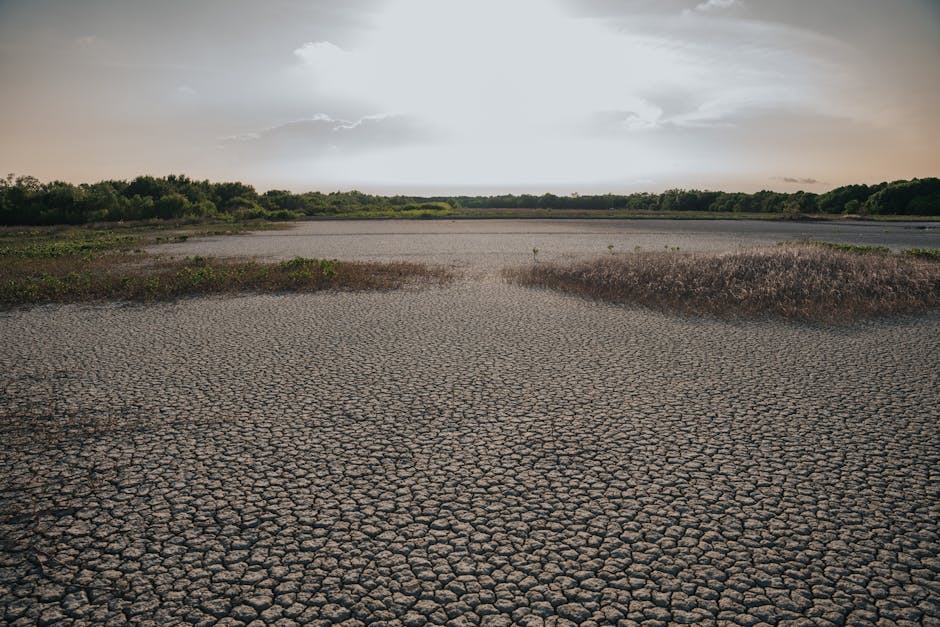 Aerial view of a cracked, dry landscape under a clear sky, highlighting climate change impact.
